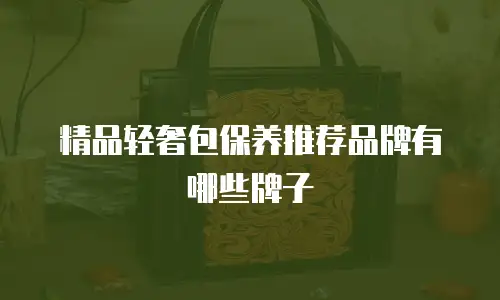 精品轻奢包保养推荐品牌有哪些牌子