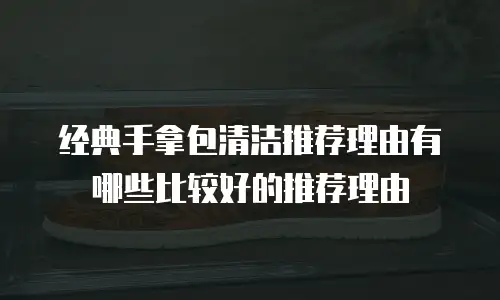 经典手拿包清洁推荐理由有哪些比较好的推荐理由
