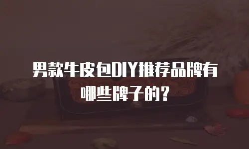 男款牛皮包DIY推荐品牌有哪些牌子的？