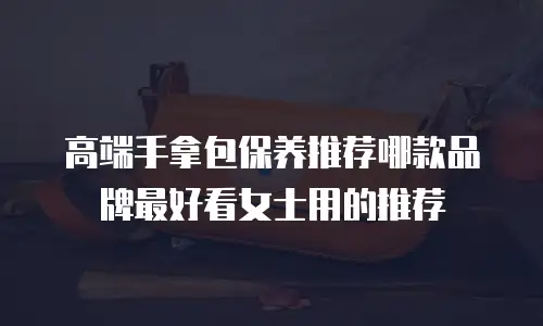 高端手拿包保养推荐哪款品牌最好看女士用的推荐