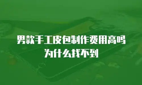 男款手工皮包制作费用高吗为什么找不到