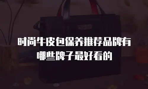 时尚牛皮包保养推荐品牌有哪些牌子最好看的