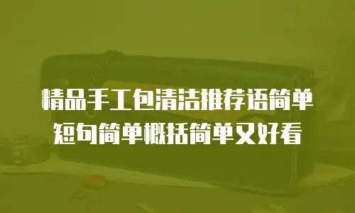 精品手工包清洁推荐语简单短句简单概括简单又好看