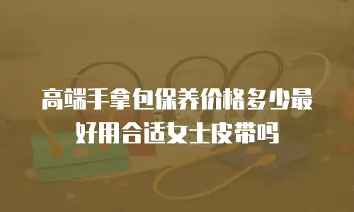 高端手拿包保养价格多少最好用合适女士皮带吗