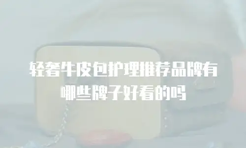 轻奢牛皮包护理推荐品牌有哪些牌子好看的吗