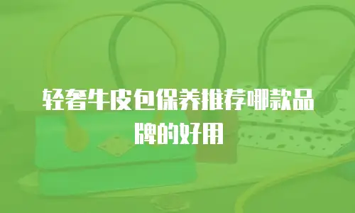 轻奢牛皮包保养推荐哪款品牌的好用