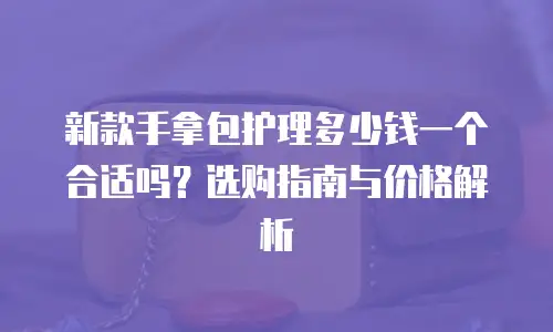 新款手拿包护理多少钱一个合适吗？选购指南与价格解析