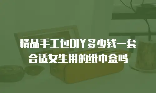 精品手工包DIY多少钱一套合适女生用的纸巾盒吗