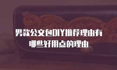 男款公文包DIY推荐理由有哪些好用点的理由
