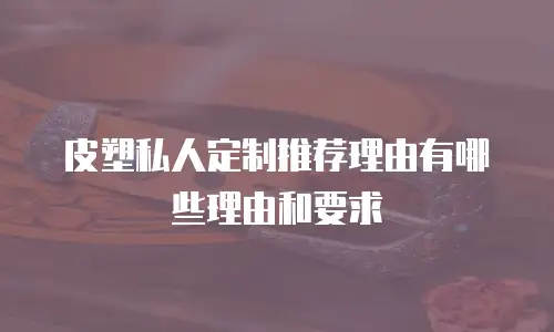 皮塑私人定制推荐理由有哪些理由和要求