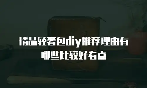精品轻奢包diy推荐理由有哪些比较好看点