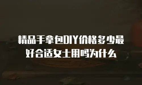 精品手拿包DIY价格多少最好合适女士用吗为什么