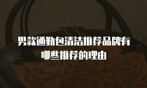 男款通勤包清洁推荐品牌有哪些推荐的理由