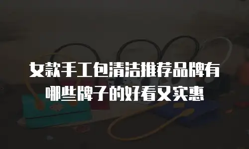 女款手工包清洁推荐品牌有哪些牌子的好看又实惠