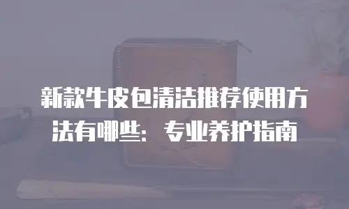新款牛皮包清洁推荐使用方法有哪些：专业养护指南