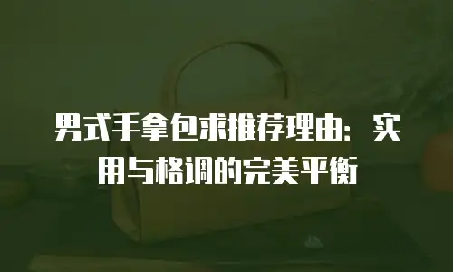 男式手拿包求推荐理由：实用与格调的完美平衡