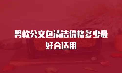 男款公文包清洁价格多少最好合适用