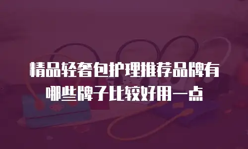 精品轻奢包护理推荐品牌有哪些牌子比较好用一点