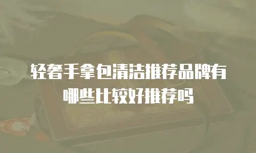 轻奢手拿包清洁推荐品牌有哪些比较好推荐吗
