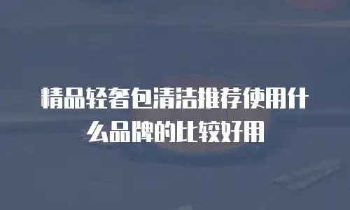 精品轻奢包清洁推荐使用什么品牌的比较好用