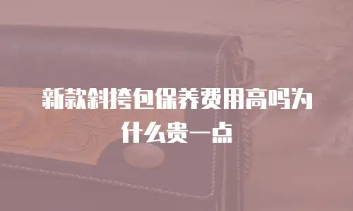 新款斜挎包保养费用高吗为什么贵一点
