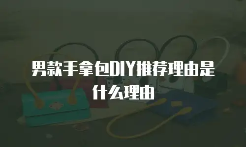 男款手拿包DIY推荐理由是什么理由