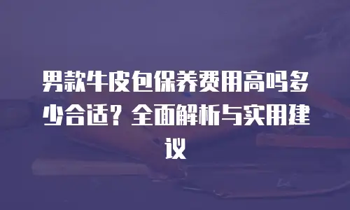 男款牛皮包保养费用高吗多少合适？全面解析与实用建议