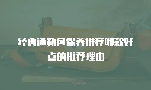 经典通勤包保养推荐哪款好点的推荐理由