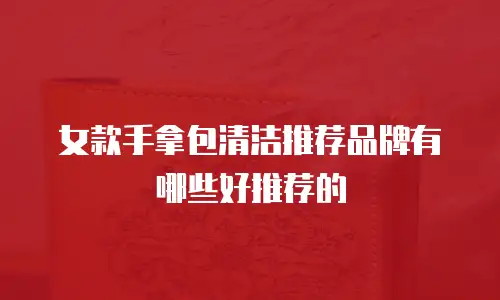 女款手拿包清洁推荐品牌有哪些好推荐的