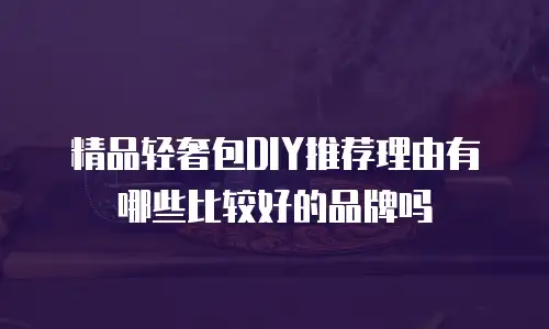 精品轻奢包DIY推荐理由有哪些比较好的品牌吗
