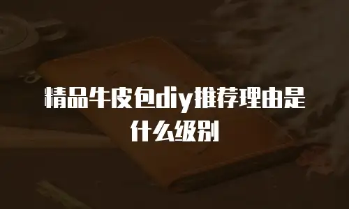 精品牛皮包diy推荐理由是什么级别