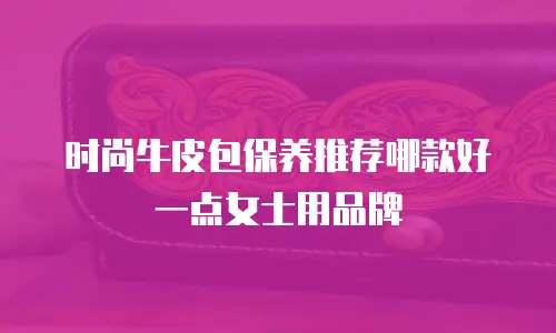 时尚牛皮包保养推荐哪款好一点女士用品牌