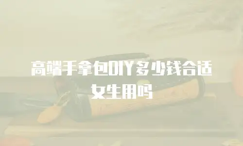 高端手拿包DIY多少钱合适女生用吗