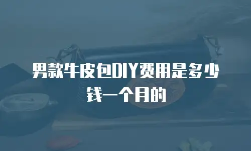 男款牛皮包DIY费用是多少钱一个月的