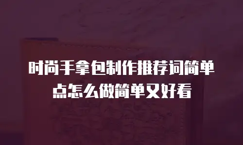 时尚手拿包制作推荐词简单点怎么做简单又好看