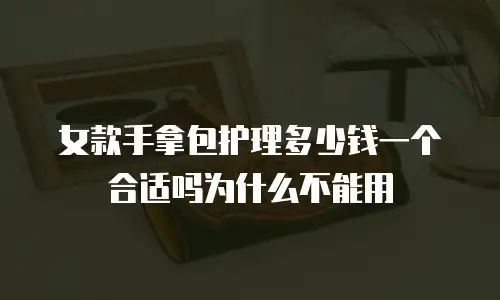 女款手拿包护理多少钱一个合适吗为什么不能用