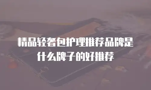 精品轻奢包护理推荐品牌是什么牌子的好推荐