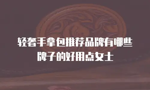 轻奢手拿包推荐品牌有哪些牌子的好用点女士