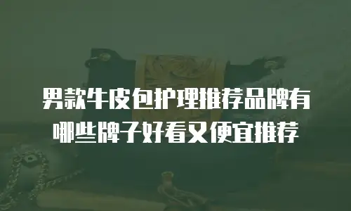 男款牛皮包护理推荐品牌有哪些牌子好看又便宜推荐