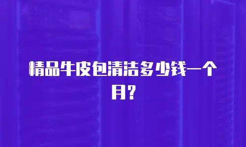 精品牛皮包清洁多少钱一个月？