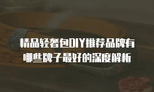 精品轻奢包DIY推荐品牌有哪些牌子最好的深度解析