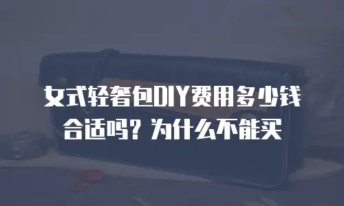 女式轻奢包DIY费用多少钱合适吗？为什么不能买