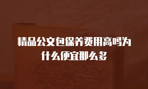 精品公文包保养费用高吗为什么便宜那么多