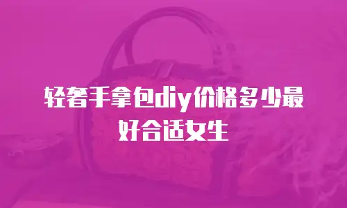 轻奢手拿包diy价格多少最好合适女生