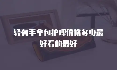 轻奢手拿包护理价格多少最好看的最好