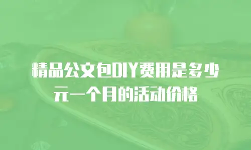 精品公文包DIY费用是多少元一个月的活动价格