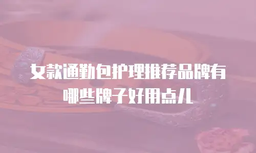 女款通勤包护理推荐品牌有哪些牌子好用点儿