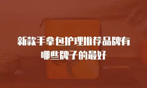 新款手拿包护理推荐品牌有哪些牌子的最好