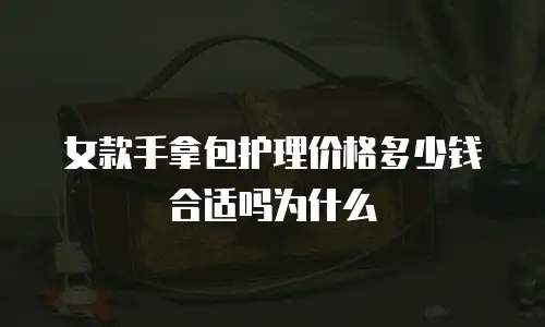 女款手拿包护理价格多少钱合适吗为什么