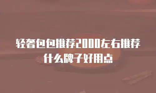 轻奢包包推荐2000左右推荐什么牌子好用点